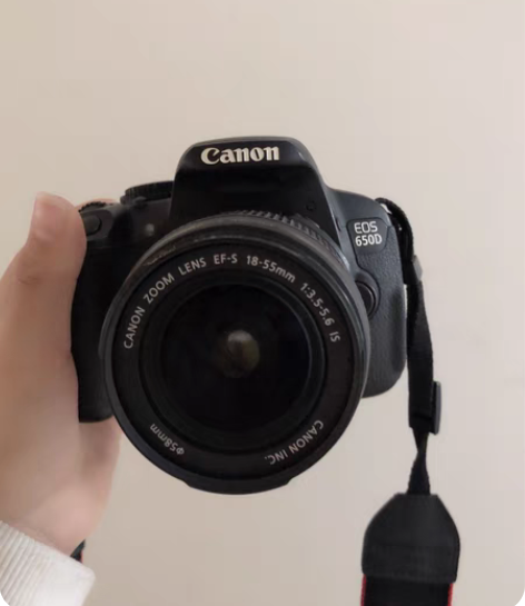 佳能单反摄影650D18-55的镜头 自用...