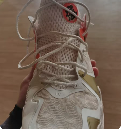 安踏狂潮④ 新年配色（46码） 穿过两次 ...