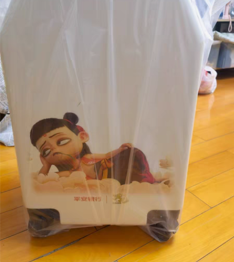 包邮全新哪吒20寸登机箱 如图，平安银行的...