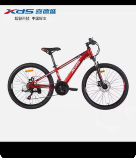 包邮XDS喜德盛20寸/22寸/24寸中国...