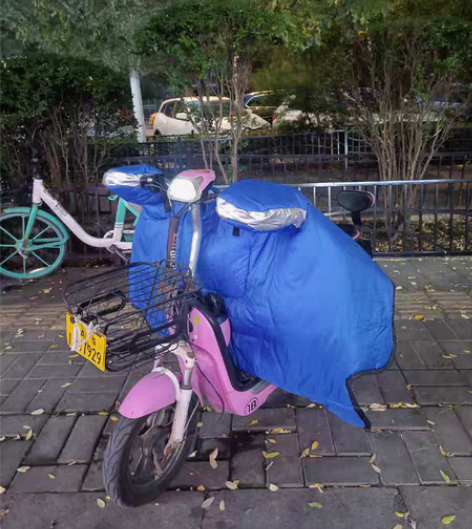 包邮飞鸽牌电动车，使用了1年多，锂电池，电...