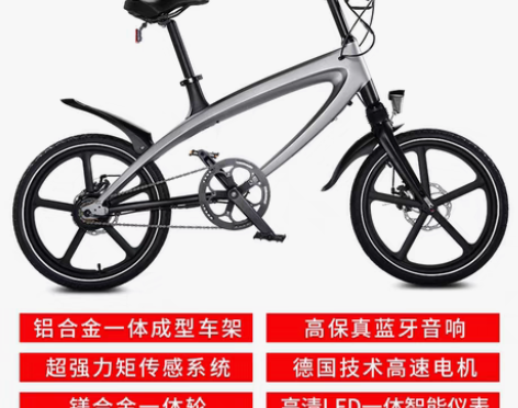 转卖正步 20寸智能电动自行车 成人男女式...