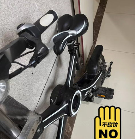 恩斯迈电动折叠自行车，9成新，型号为TDW...