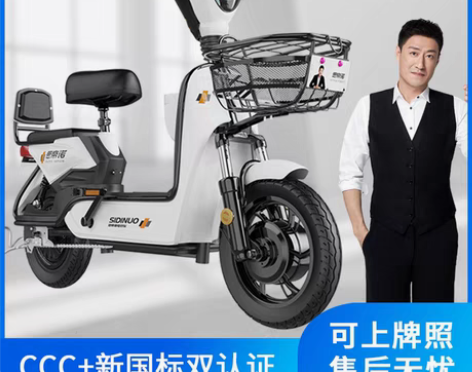 转卖思帝诺新国标48V新款电动车电动自行车...