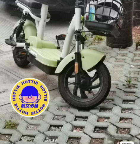 台铃新国标电动车续航40-50公里2022...