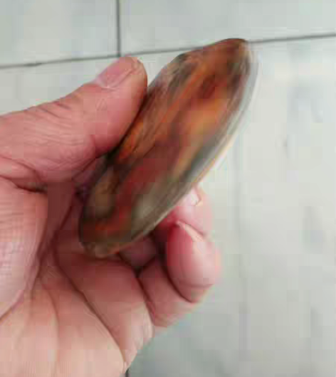 转手原因 原石手把件 唐河彩玉原石手把件原...