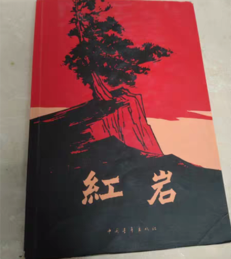 青春励志文学书籍，《红岩》 感兴趣的话点“...