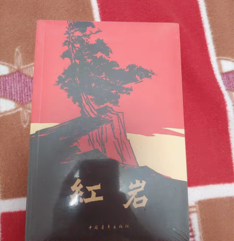 包邮出一本书 红岩 包装完整 初中备考用的...