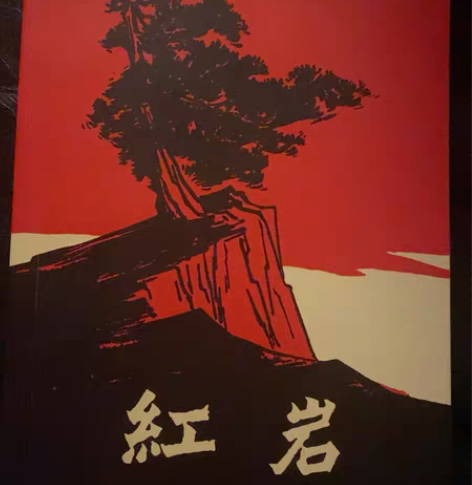 《红岩》,买来翻了几页,基本全新 感兴趣的...