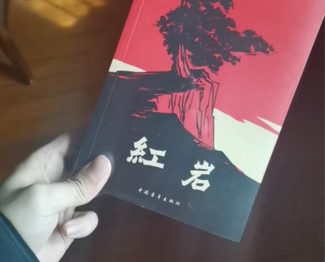 书是全新未拆封的《红岩》本人不怎么爱看书所...