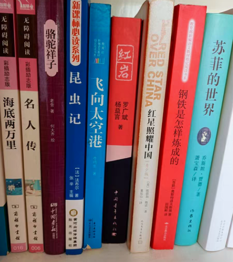 苏菲的世界21 钢铁是怎样炼成的20 红星...