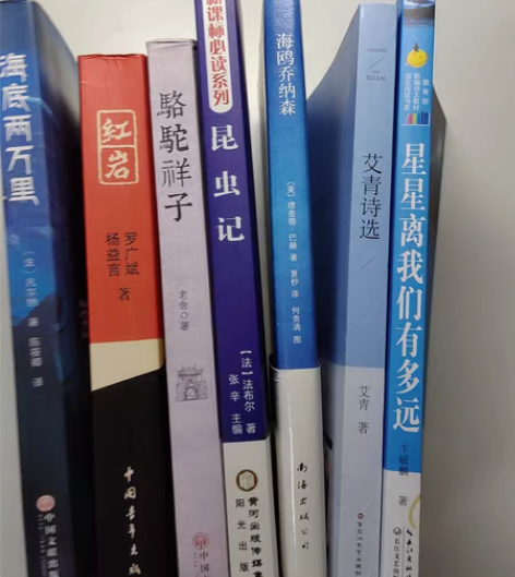 中学必读书目《星星离我们有多远》《昆虫记》...