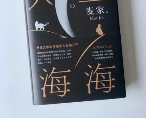 包邮精装硬壳全新人生海海麦家茅盾奖得主麦家...