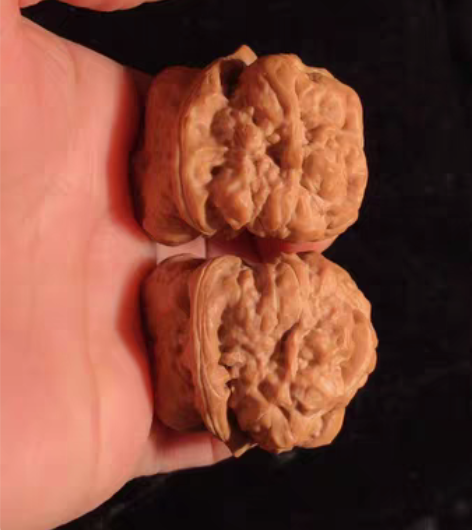 肌肉蛙 够不够肌肉600得 尺寸 边38肚...