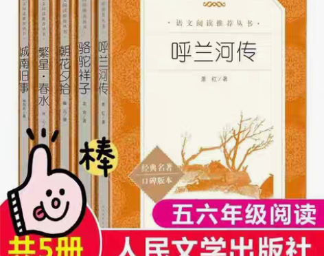 包邮呼兰河传城南旧事朝花夕拾繁星春水骆驼祥...