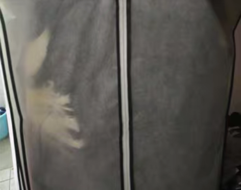 转卖汉凤迷人-黑色凤求凰M 感兴趣的话点“...