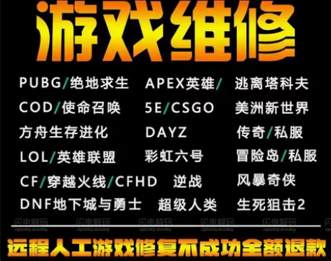 电脑远程维修 逃离塔科夫游戏维修 不刷不重...