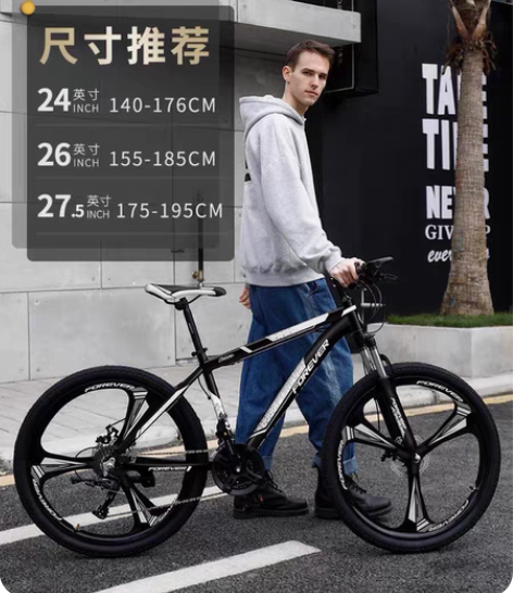 Forever 永久牌自行车九八成新 只骑...