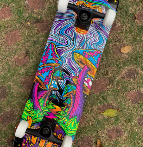 包邮element专业进口滑板王一博同款品...