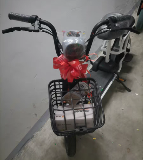 全新电动车，过年充物业费中奖得的，市场价1...