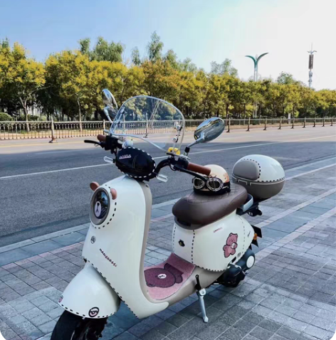 包邮杭州同城转手新国标二手电动车，黄牌都上...