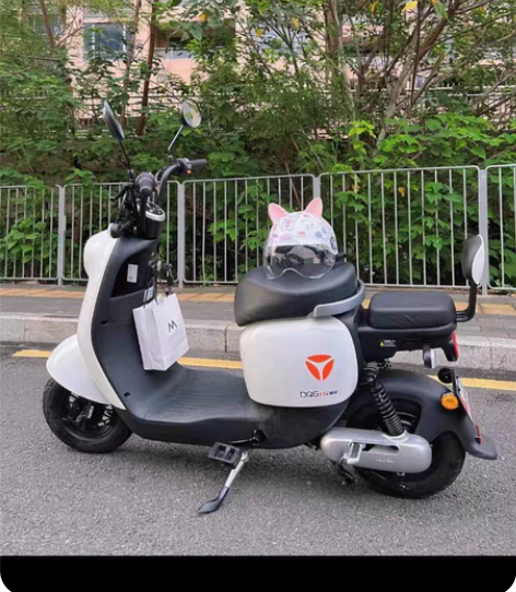 包邮低价处理 雅迪电动车60v20a的 上...