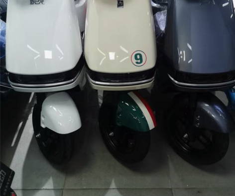 新款国标蓝牌电动自行车 前脚踏43厘米 2...