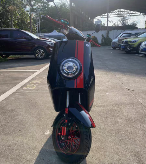 包邮全新车!全新车!全新车!!! 新国标车...