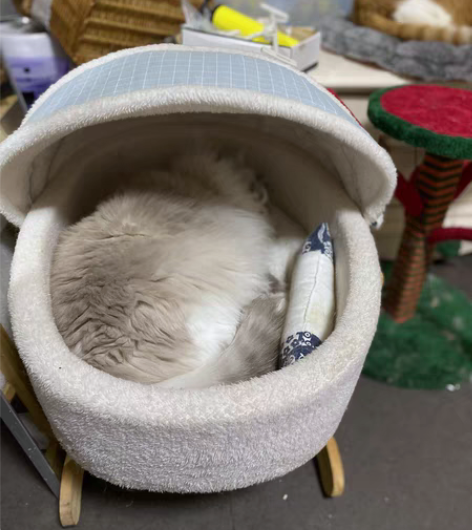 【余杭区五常，西湖区西溪，余杭区未来科技城...