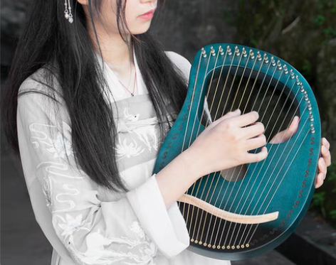 转卖莱雅琴男女初学者16弦小众乐器原木19...