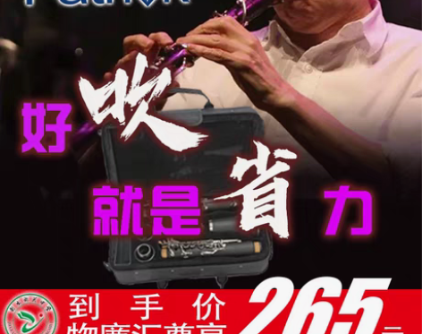 转卖Patrick专业级单簧管乐器学生儿童...