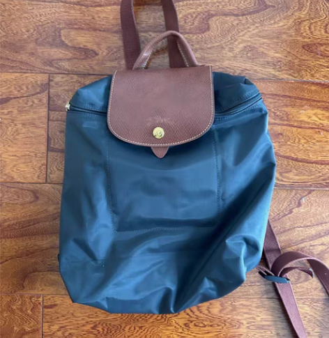 龙骧long champ双肩包 感兴趣的话...