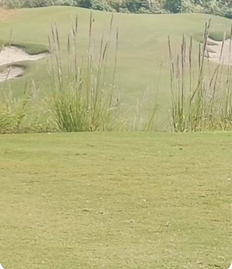 包邮高尔夫球 Titleist 三四层球混...