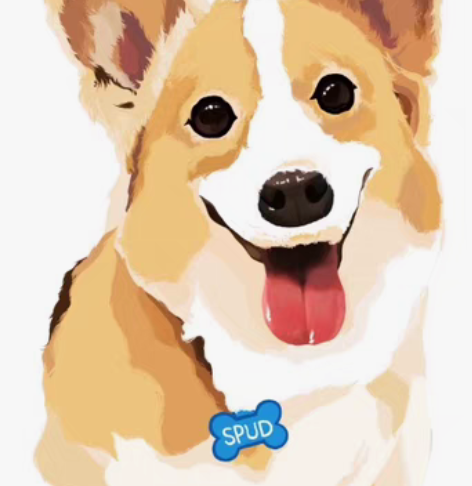 手绘头像 #宠物服装 #宠物服务 #陪伴萌...