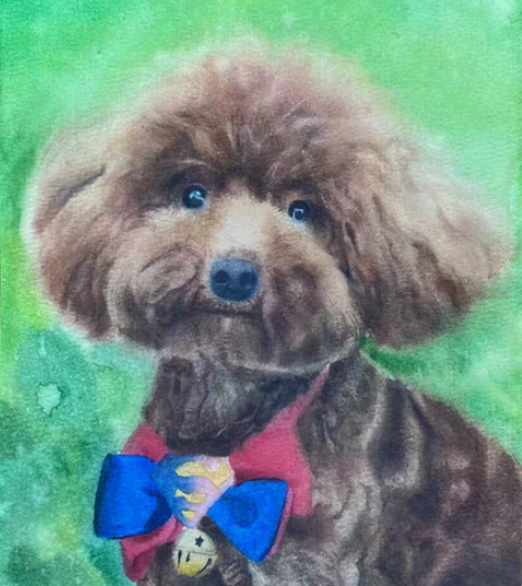 转卖【水彩宠物动物画定制】水彩纯手绘猫狗等...