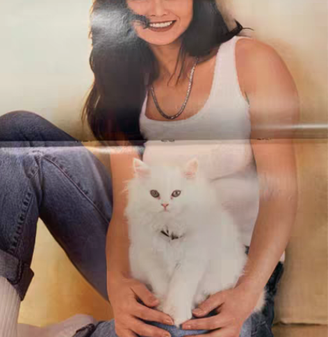 明星彩页：叶玉卿大海报，张学友唱片海报，王...