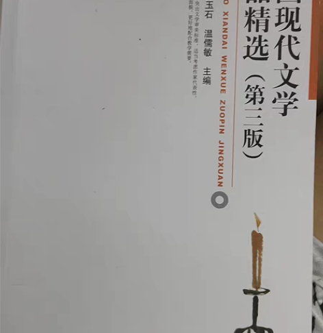 二手正版   中国现代文学作品精选 第三版...