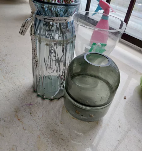3个花瓶、1个花篮 可送浇水壶大观地铁站附...