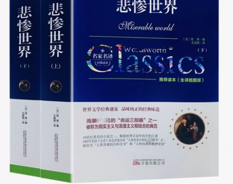 悲惨世界书正版雨果上下2本世界十大经典文学...