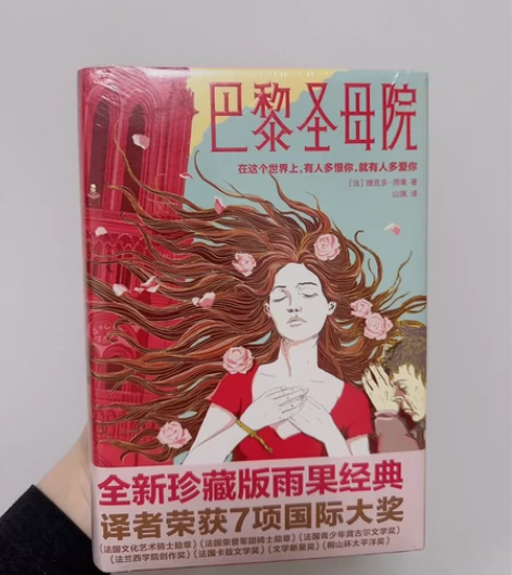 巴黎圣母院 雨果 书 全新 未拆封全新￥25
