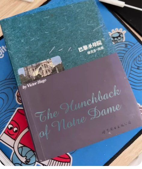巴黎圣母院英文版，不包邮 感兴趣的话点“我...