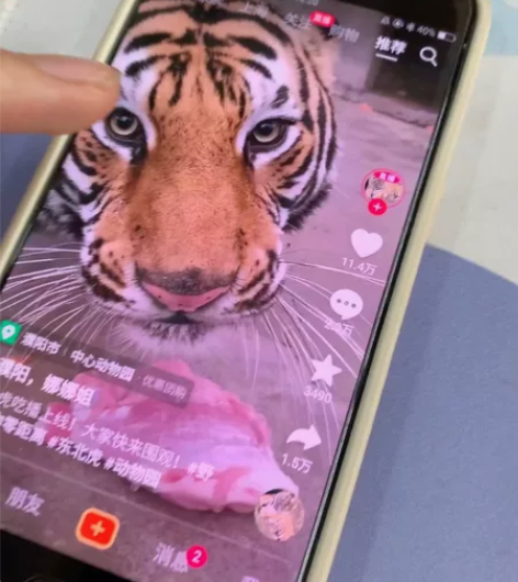 自用无拆无修，oppor11t备用机很适合...