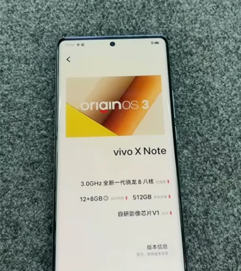 vivoXNote，12+512G 蓝色，...