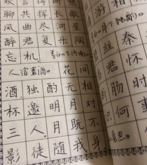 绝版字帖，好字帖一本，非烂大街的字帖。 感...