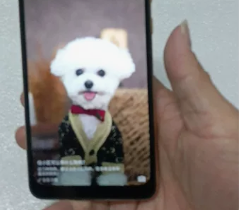 海信金刚4 配置4+64 功能全正常 单机...