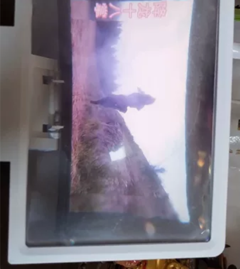 手机屏幕高清放大器 感兴趣的话点“我想要”...