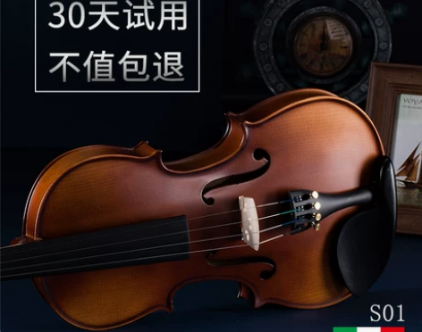 初学者儿童小提琴 西洋乐器 1/4琴，功能...