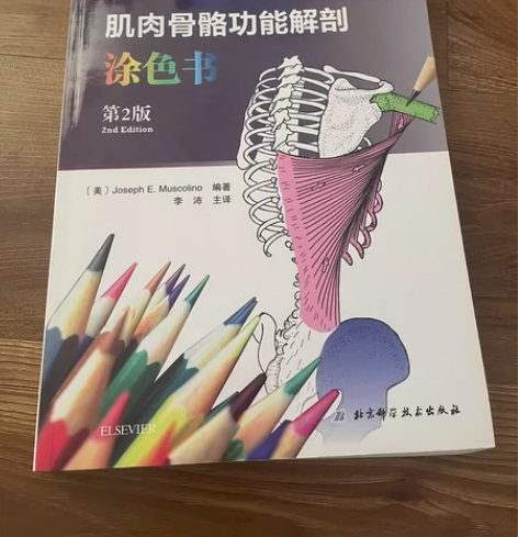 正版 肌肉骨骼功能解剖涂色书第2版 主译李...