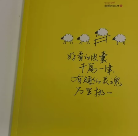 大四学姐出闲置书 全新～ 《好看的皮囊千篇...