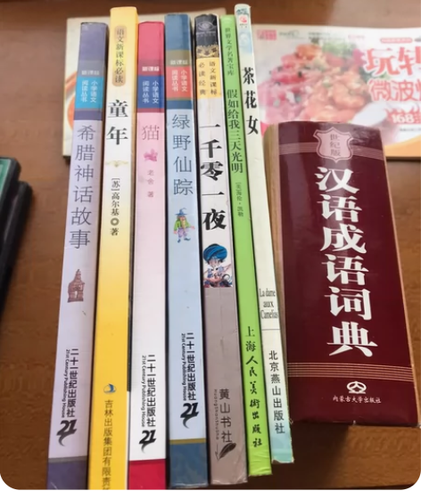 二手书，假期推荐书，假如给我三天光明，茶花...